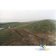 Byland 1984 Coll. HKR F00000153